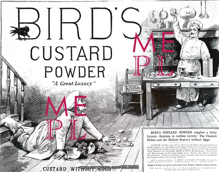 : An advertisement for Bird's custard powder : An advertisement for Bird's custard powder
