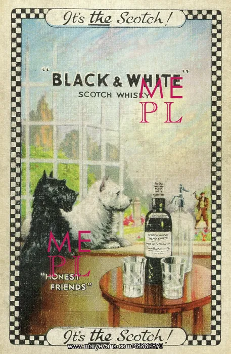 : Advert, Black & White Scotch Whisky : Advert, Black & White Scotch Whisky