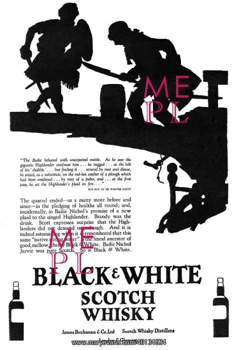 : Advertisement for Black & White Whisky : Advertisement for Black & White Whisky