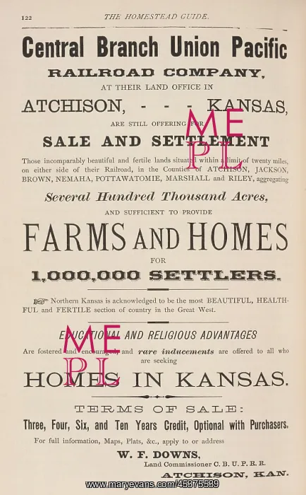 : Advertisement in a book, THE HOMESTEAD GUIDE: : Advertisement in a book, THE HOMESTEAD GUIDE: