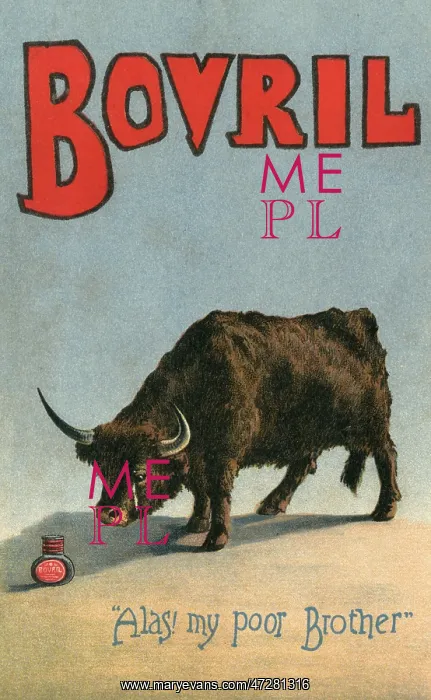 : Advert for Bovril 1890s : Advert for Bovril 1890s