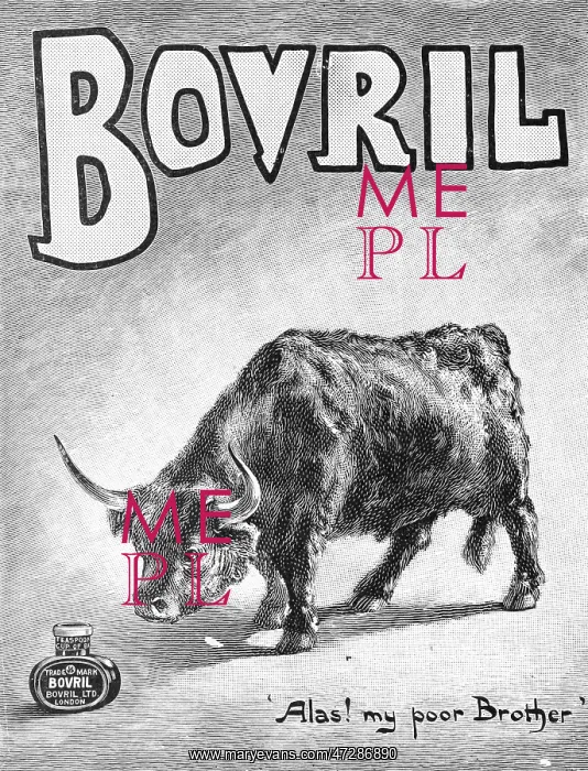 : ADVERT / BOVRIL 1899 : ADVERT / BOVRIL 1899