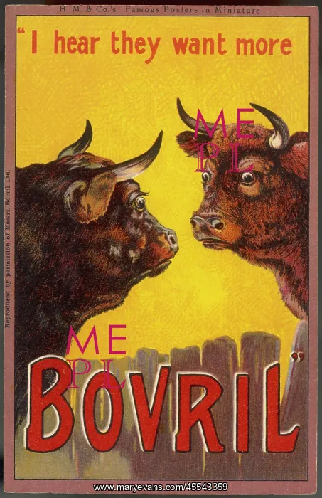 : Advertisement - Bovril : Advertisement - Bovril
