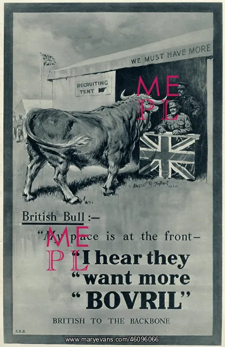 : Advert Bovril beef extracts 1915 : Advert Bovril beef extracts 1915