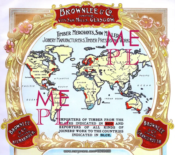 : Advert, Brownlee & Co, Timber Merchants, Glasgow : Advert, Brownlee & Co, Timber Merchants, Glasgow