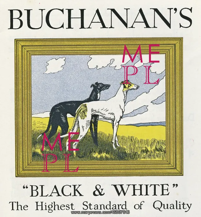 : Advertisement, Buchanan's Black & White whisky : Advertisement, Buchanan's Black & White whisky
