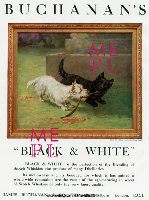 : Advertisement, Buchanan's Black & White Whisky : Advertisement, Buchanan's Black & White Whisky