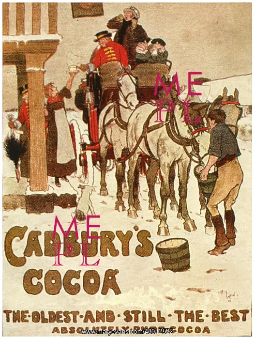 : Advertisement for Cadbury's Cocoa : Advertisement for Cadbury's Cocoa