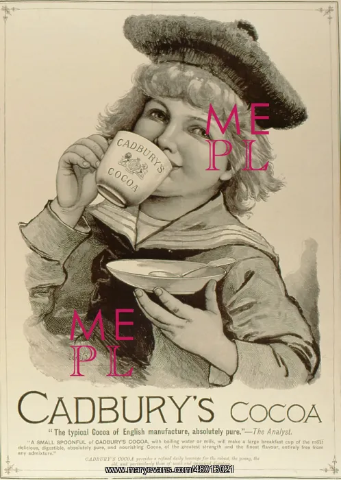 : Advertisement for Cadbury's Cocoa : Advertisement for Cadbury's Cocoa