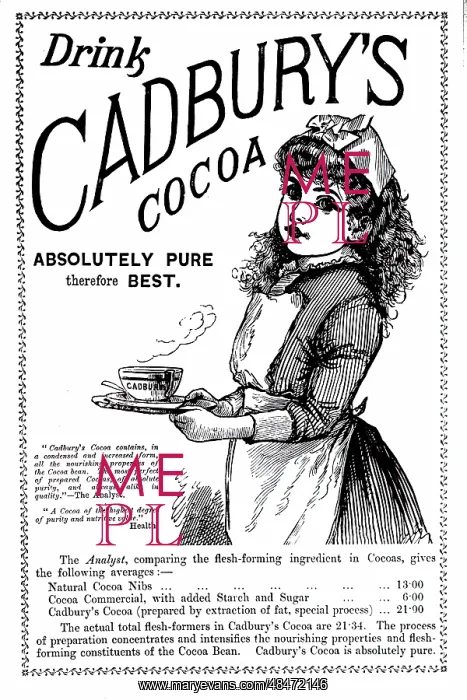 : An advertisement for Cadbury's cocoa : An advertisement for Cadbury's cocoa