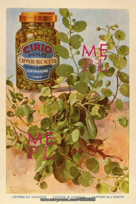 : Advertisement for Cirio capers in vinegar : Advertisement for Cirio capers in vinegar