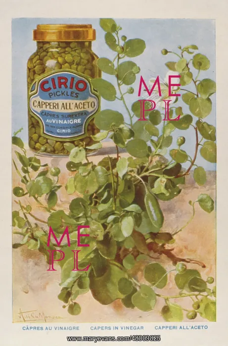 : Advertisement for Cirio capers in vinegar : Advertisement for Cirio capers in vinegar