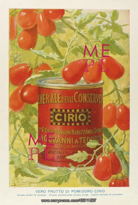 : Advertisement for Cirio concentrated tomato puree : Advertisement for Cirio concentrated tomato puree