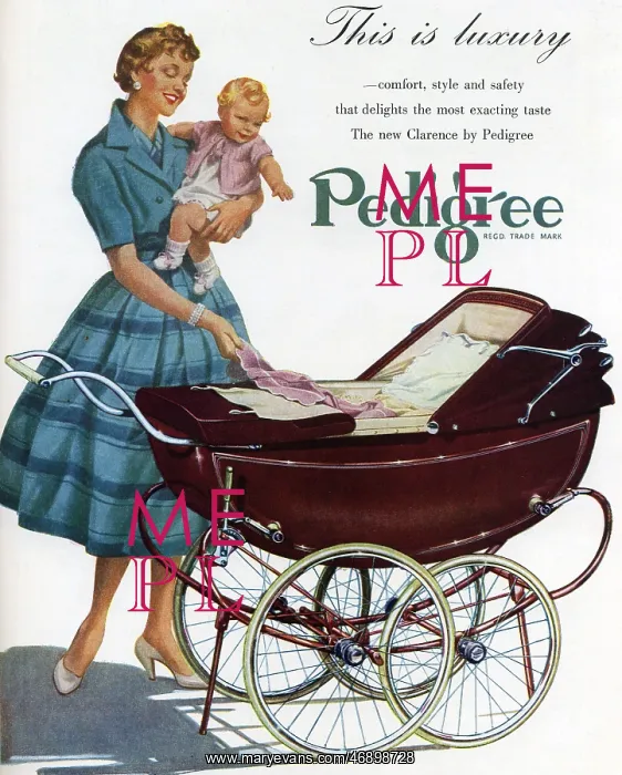 : Advertisement for Clarence pram by Pedigree : Advertisement for Clarence pram by Pedigree
