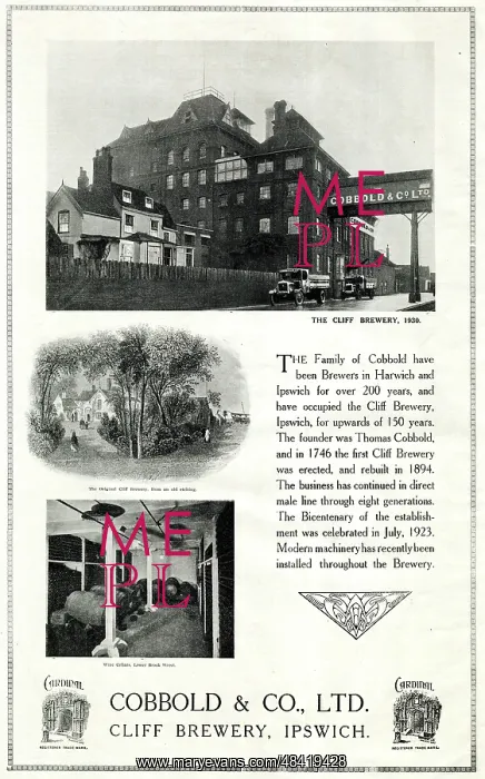 : Advert, Cobbold & Co Ltd, Cliff Brewery, Ipswich : Advert, Cobbold & Co Ltd, Cliff Brewery, Ipswich