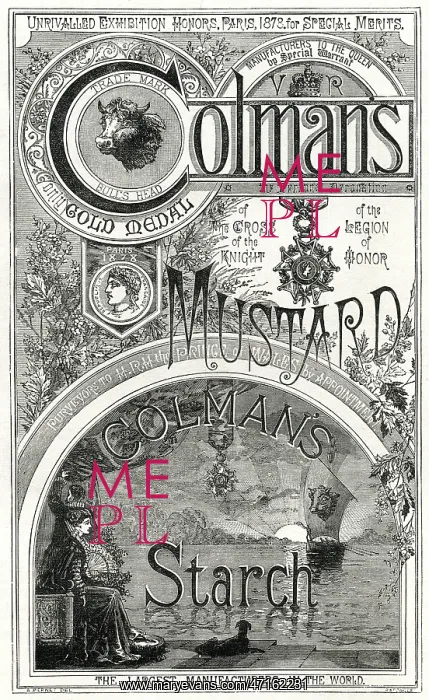 : Advert for Colman's Mustard 1880 : Advert for Colman's Mustard 1880