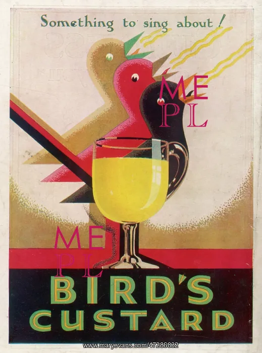 : ADVERT / CUSTARD / 3 BIRDS : ADVERT / CUSTARD / 3 BIRDS