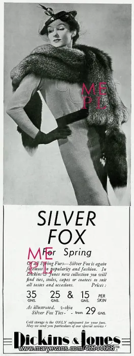 : Advert for Dickins & Jones silver fox 1937 : Advert for Dickins & Jones silver fox 1937