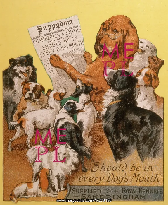  : ADVERT / DOG BISCUITS
