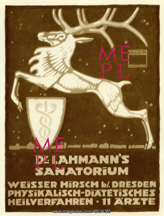  : An advertisement for Dr. Lahmanns sanitarium