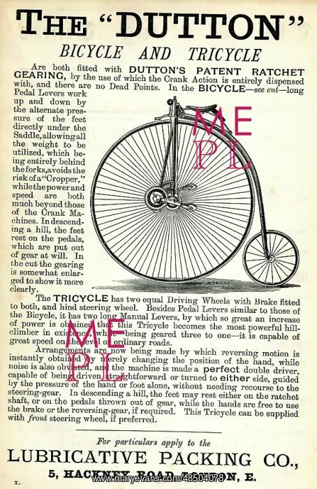  : Advertisement, The Dutton Bicycle and Tricycle