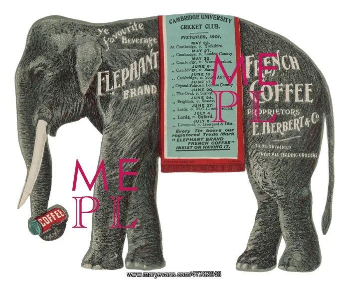  : Advert - Elephant Coffee