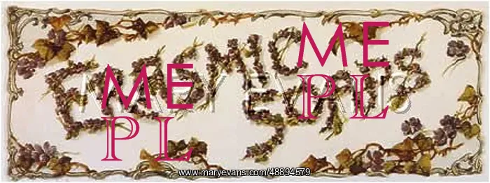 : ADVERT / ERASMIC SCRAP