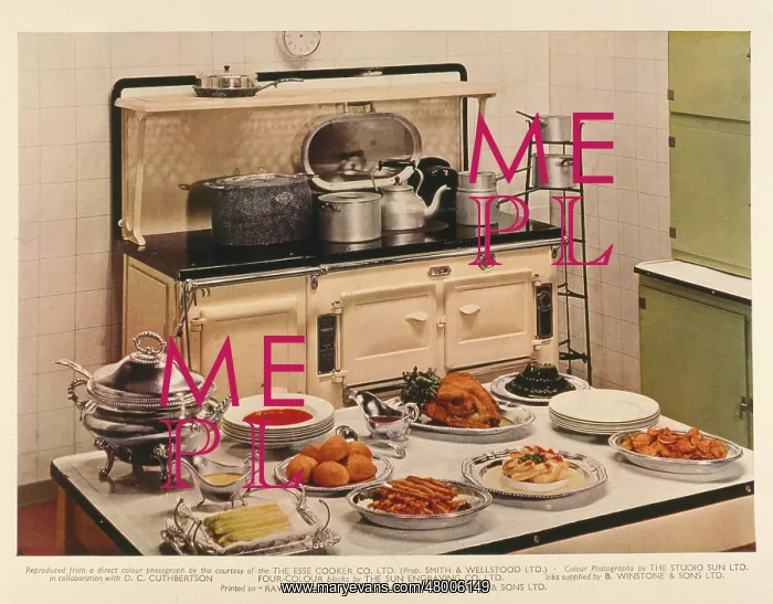 : Advertisement for the Esse Cooker Co Ltd : Advertisement for the Esse Cooker Co Ltd