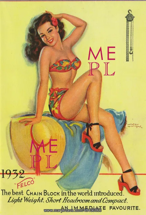  : Advertisement for Felco chain block