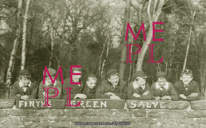  : Advertising - Firth's Green Salve