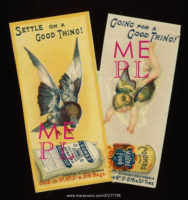  : ADVERT / FLOUR COOMBS