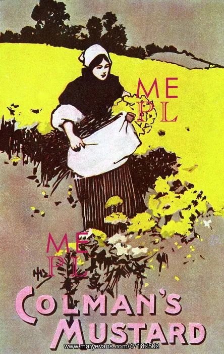 : ADVERTISING / FOOD / MUSTARD : ADVERTISING / FOOD / MUSTARD