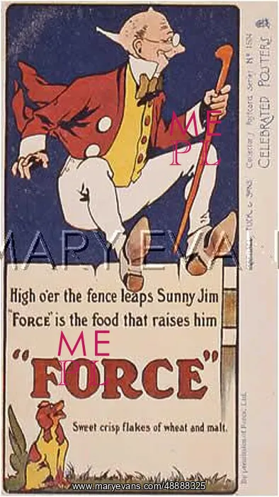  : ADVERT / FORCE FLAKES 1900
