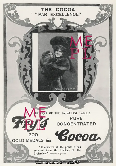 : Advert for Fry's Cocoa 1904 : Advert for Fry's Cocoa 1904