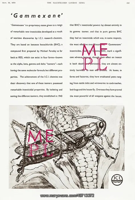 : Advertisement for Gammexane insecticides by ICI : Advertisement for Gammexane insecticides by ICI