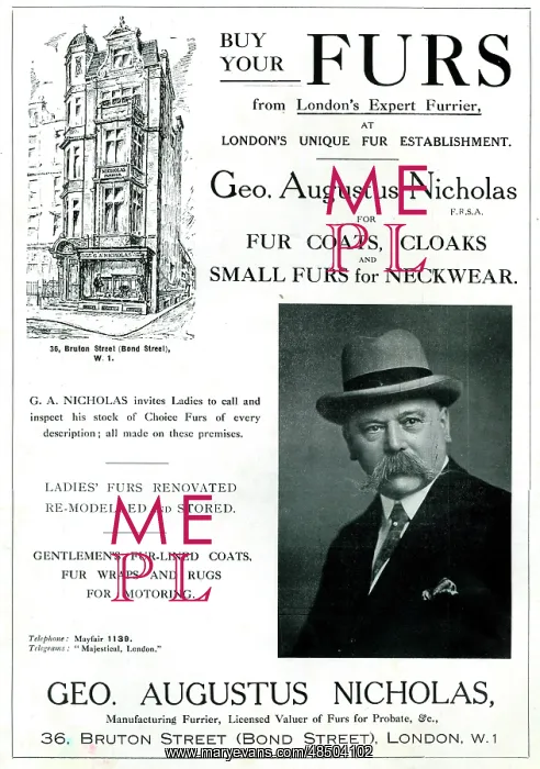 : Advertisement, George Augustus Nicholas, Furs : Advertisement, George Augustus Nicholas, Furs