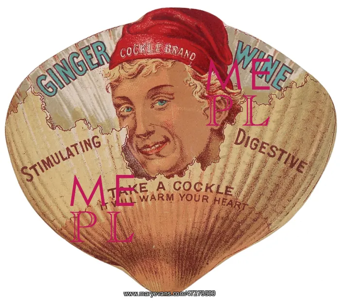  : ADVERT / GINGER WINE C1900