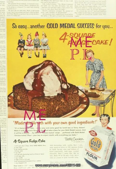 : Advertisement for Gold Medal Flour : Advertisement for Gold Medal Flour