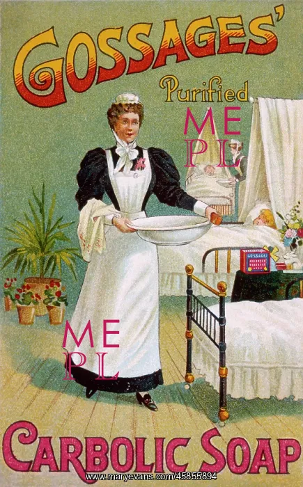  : ADVERT / GOSSAGE SOAP 1900