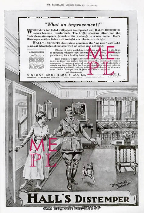 : Advert for Hall's Distemper 1919 : Advert for Hall's Distemper 1919