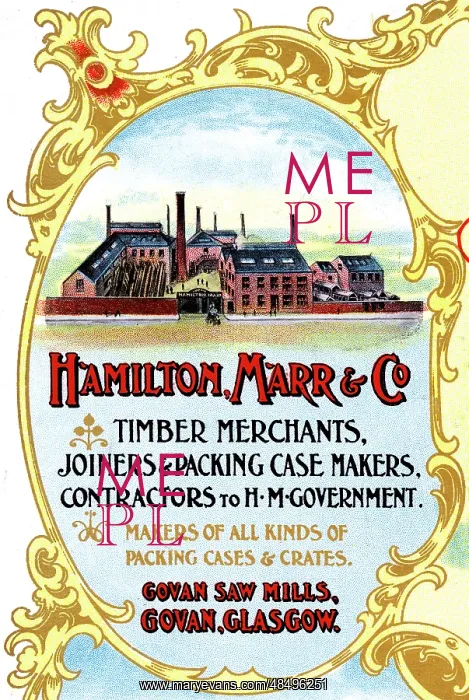 : Advert, Hamilton, Marr & Co, Timber Merchants, Glasgow : Advert, Hamilton, Marr & Co, Timber Merchants, Glasgow