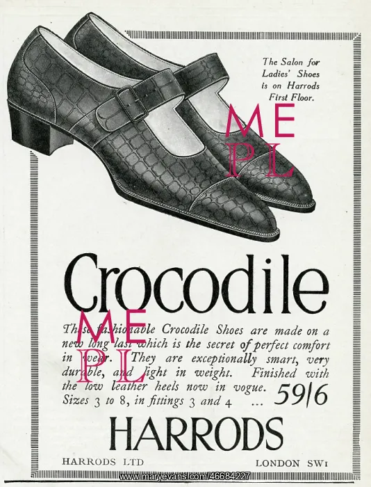 : Advert for Harrods crocodile shoes 1924 : Advert for Harrods crocodile shoes 1924
