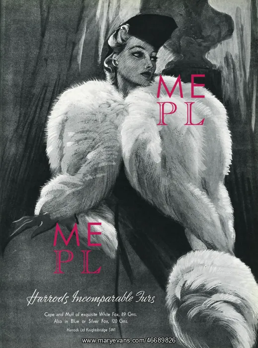 : Advert for Harrods white fox capes and muffs 1937 : Advert for Harrods white fox capes and muffs 1937