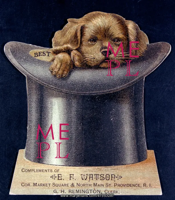 : Advertisement for top hats : Advertisement for top hats