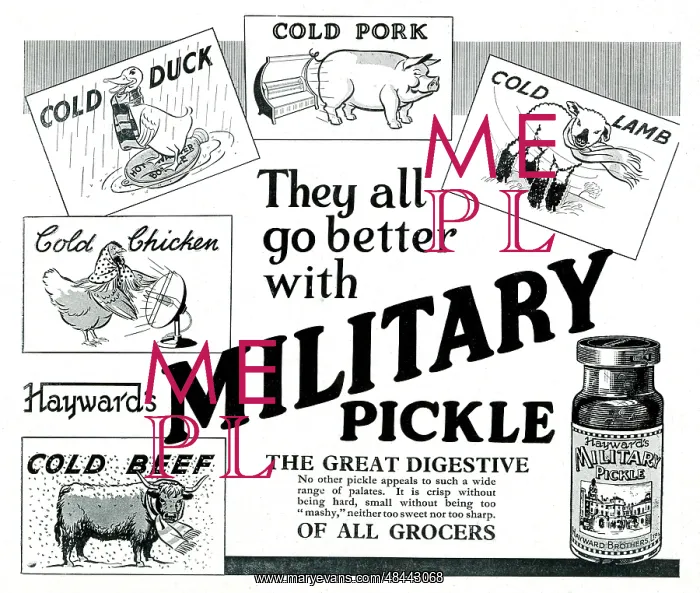  : Advert, Hayward's Military Pickle
