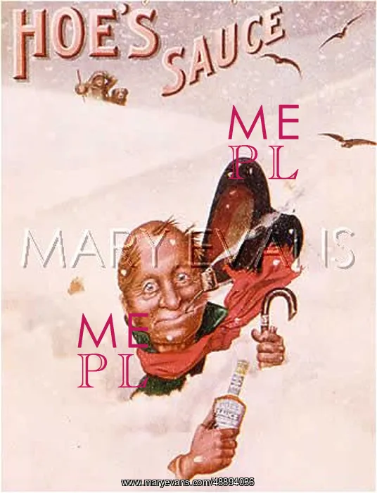 : ADVERT / HOE'S SAUCE 1900