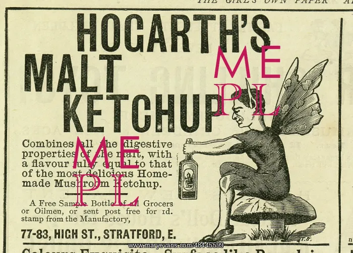  : Advert, Hogarth's Malt Ketchup