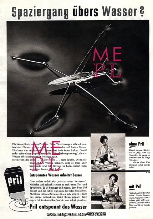 : advertising, household, Pril, advertisement in : advertising, household, Pril, advertisement in