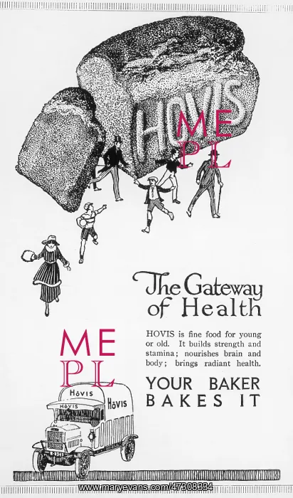  : ADVERT / HOVIS BREAD 1920