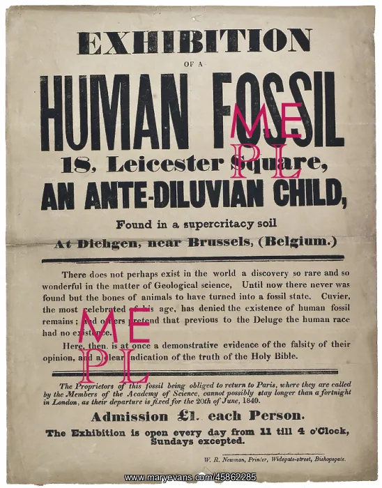 : Advertisement for a Human Fossil : Advertisement for a Human Fossil